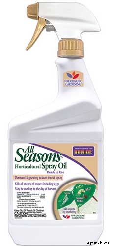 How to Grow Flowering Quince for Early Spring Color