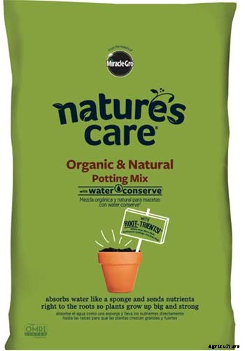 How to Grow Hydrangea Flowers in Containers