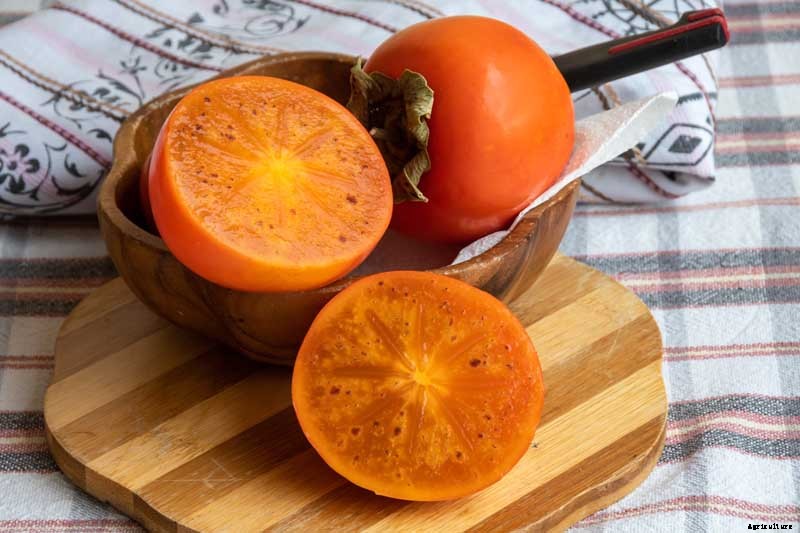 15 of the Best Asian Persimmon Varieties