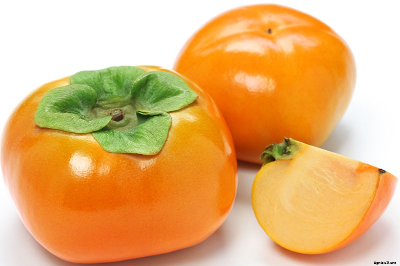 15 of the Best Asian Persimmon Varieties
