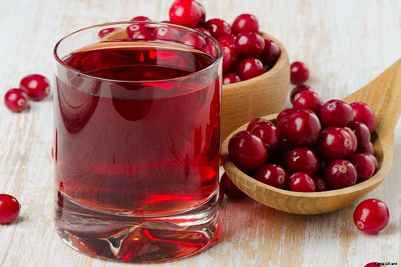 What Are the Health Benefits of Cranberries?