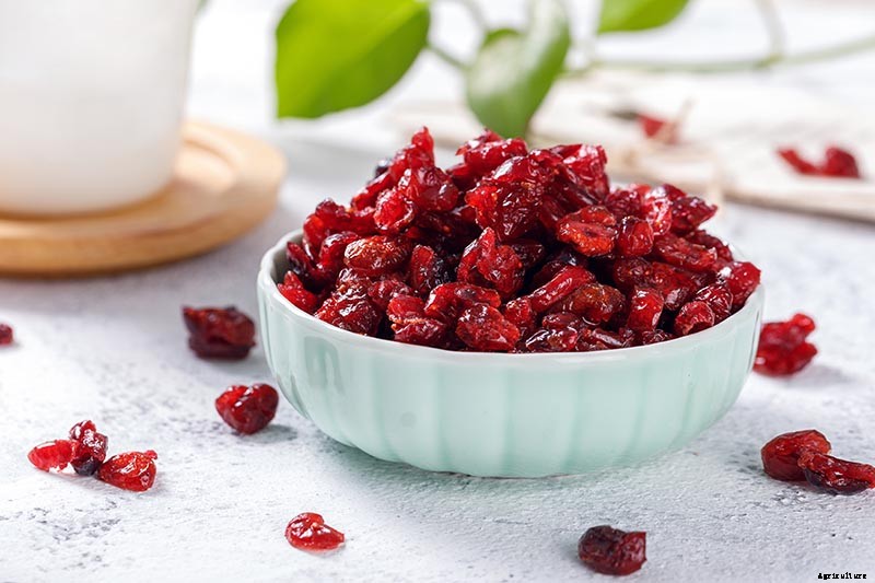 What Are the Health Benefits of Cranberries?