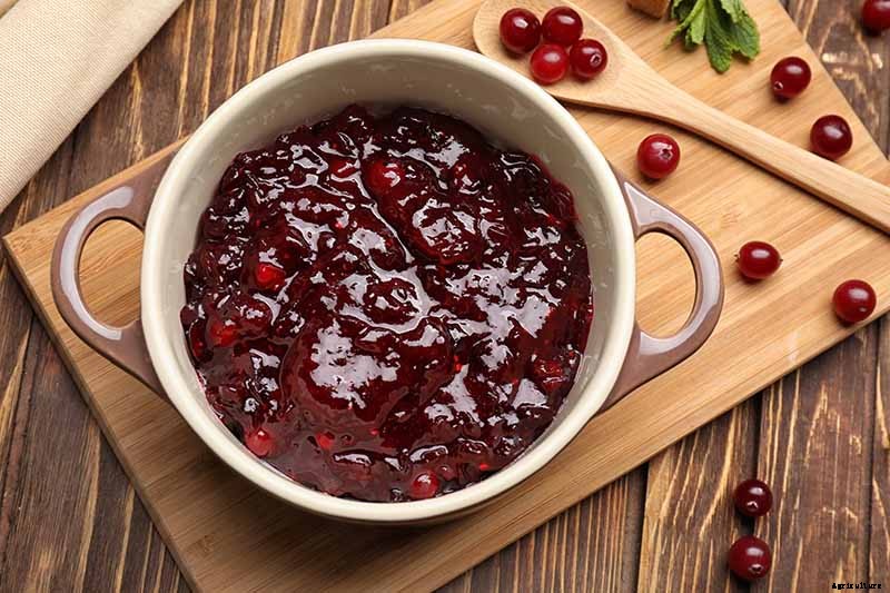 What Are the Health Benefits of Cranberries?