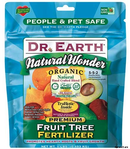 How to Grow American Persimmons