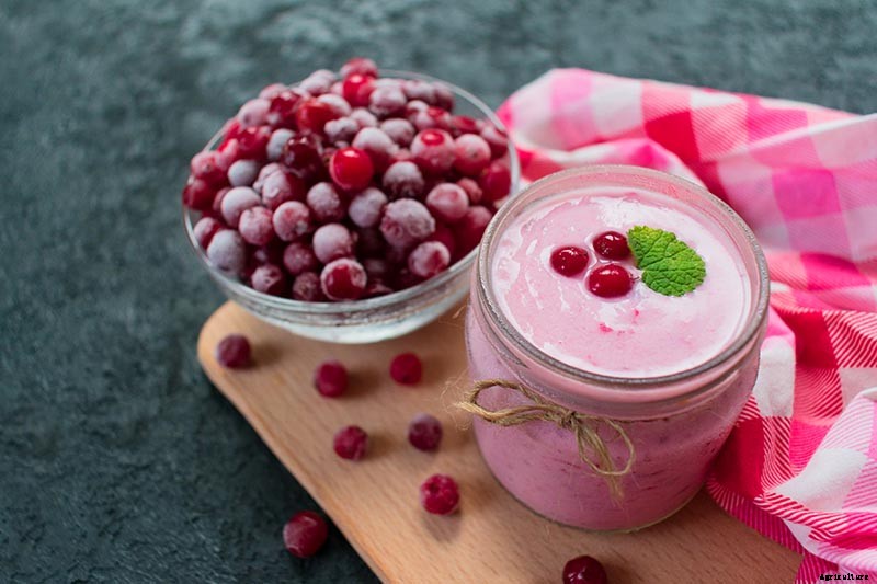 How to Grow Cranberry Plants in the Garden