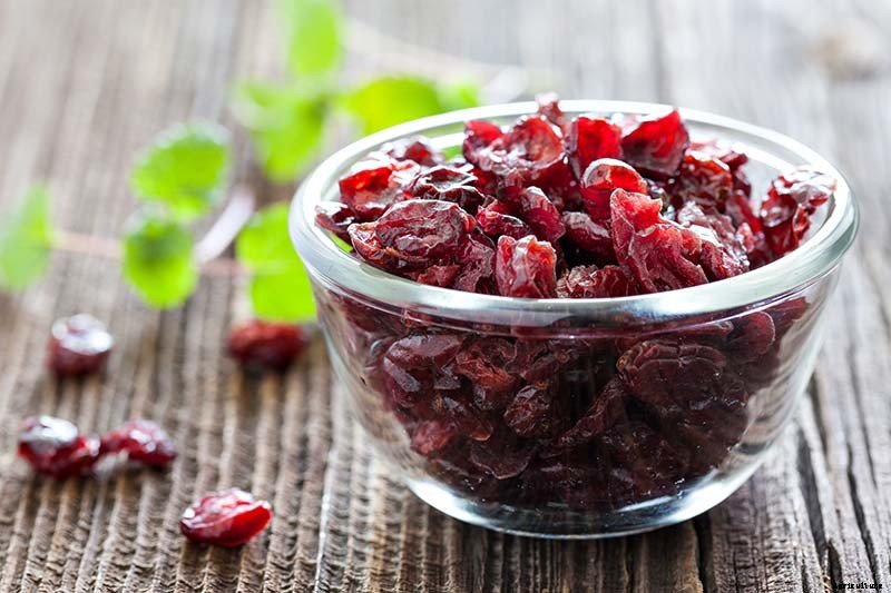 How to Grow Cranberry Plants in the Garden