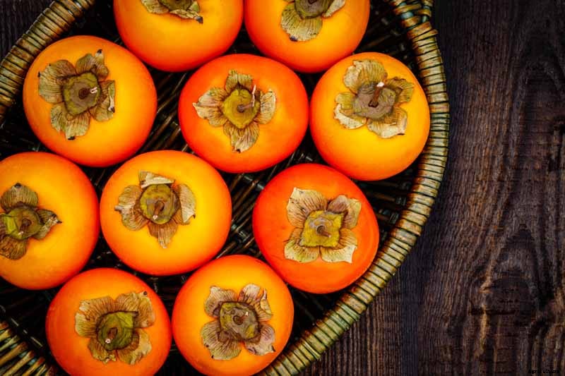 How to Grow Asian Persimmon Trees