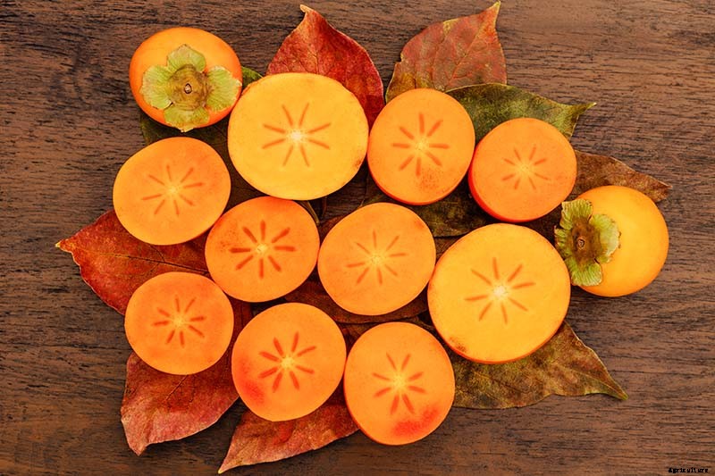 How to Grow Asian Persimmon Trees