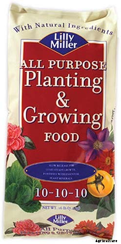 How to Grow Asian Persimmon Trees