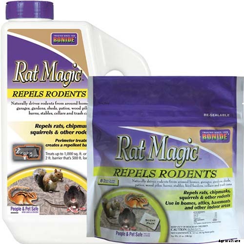 How to Grow Asian Persimmon Trees