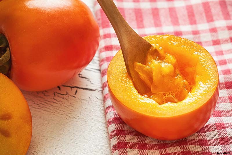 How to Grow Asian Persimmon Trees