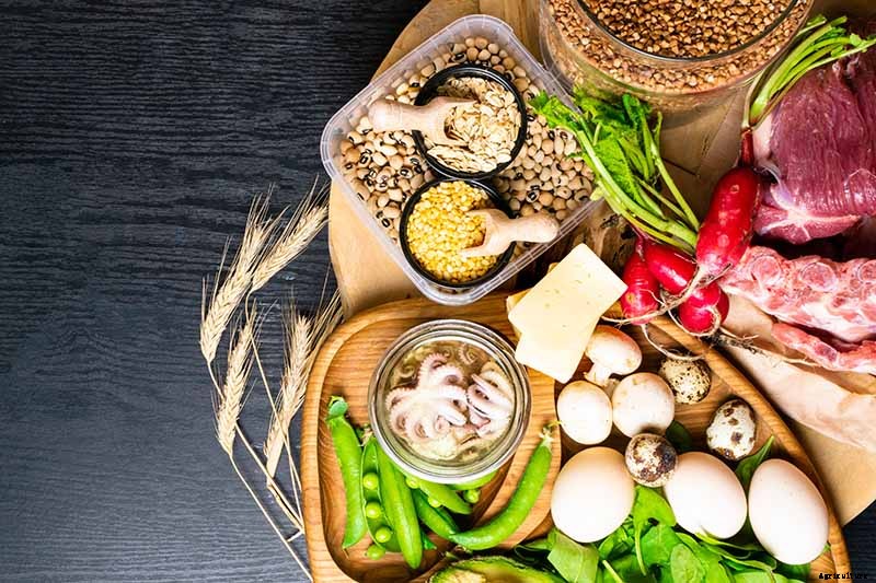 Which Vegetables Are High in Zinc?