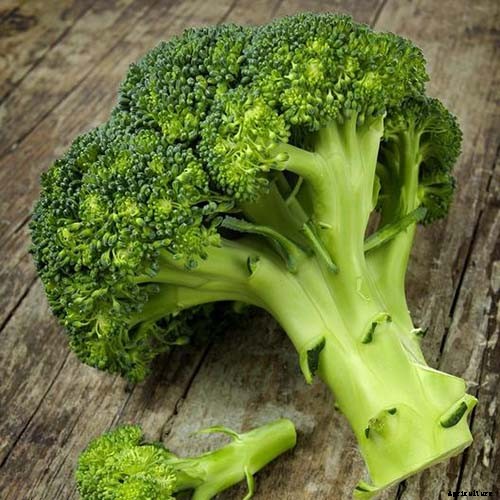 Which Vegetables Are the Best Sources of Calcium?