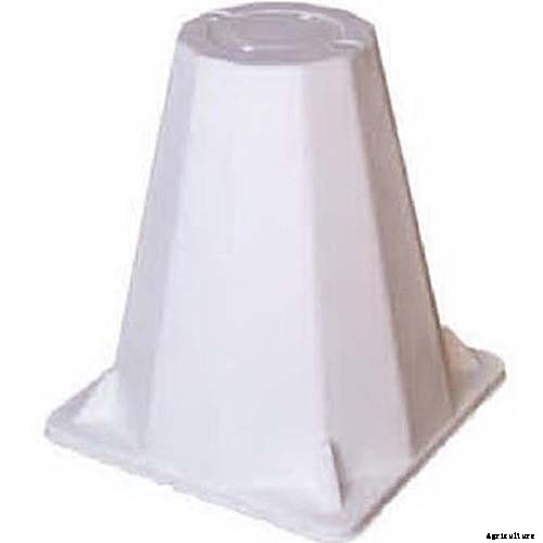 How to Winterize Roses