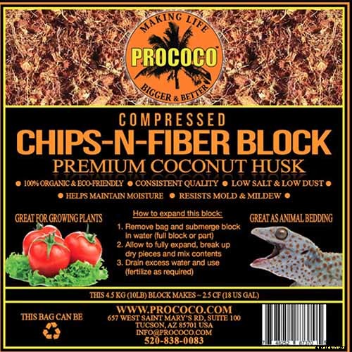 How to Propagate Poinsettia Plants from Cuttings