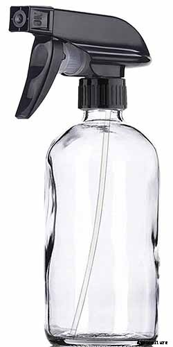 How to Propagate Poinsettia Plants from Cuttings