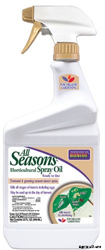 How to Plant and Grow Asian Pear Trees