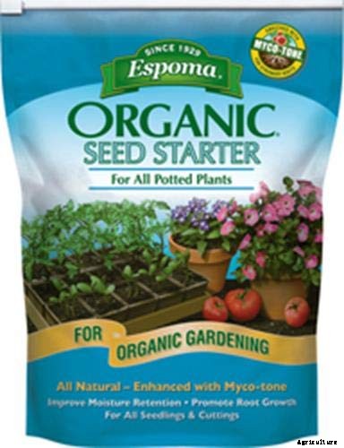 How to Grow and Care for Garden Geraniums