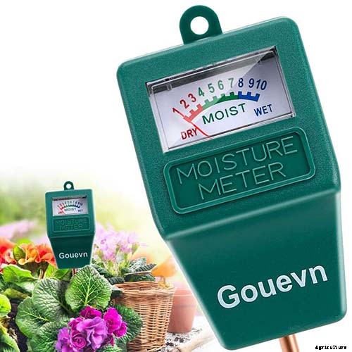 How to Overwinter Hot Pepper Plants