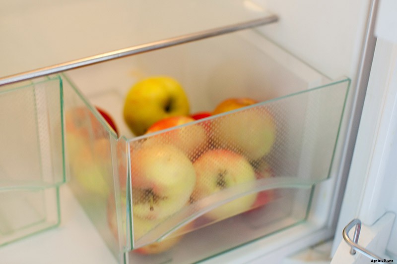 How to Store Your Apple Harvest