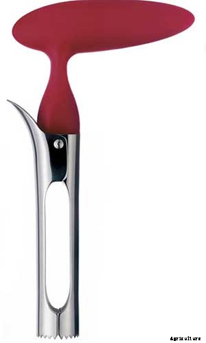 How to Store Your Apple Harvest