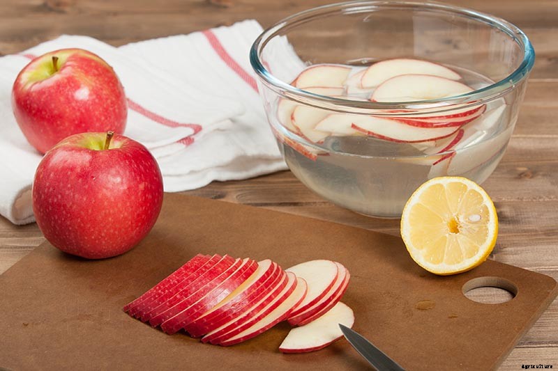 How to Store Your Apple Harvest