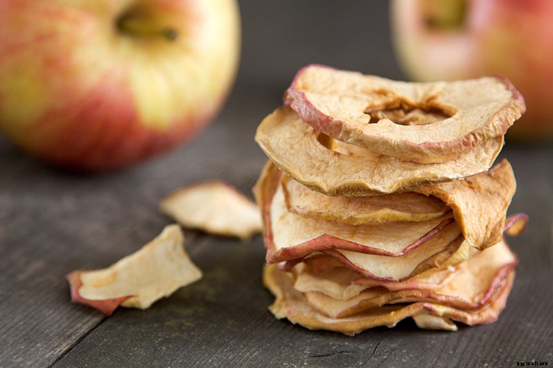 How to Store Your Apple Harvest