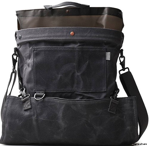 When and How to Harvest Apples