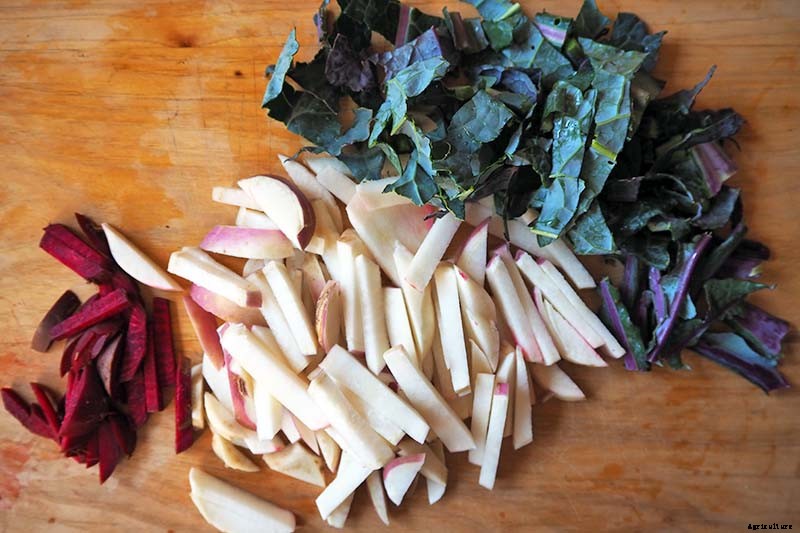 How to Grow Lacinato (Dinosaur) Kale