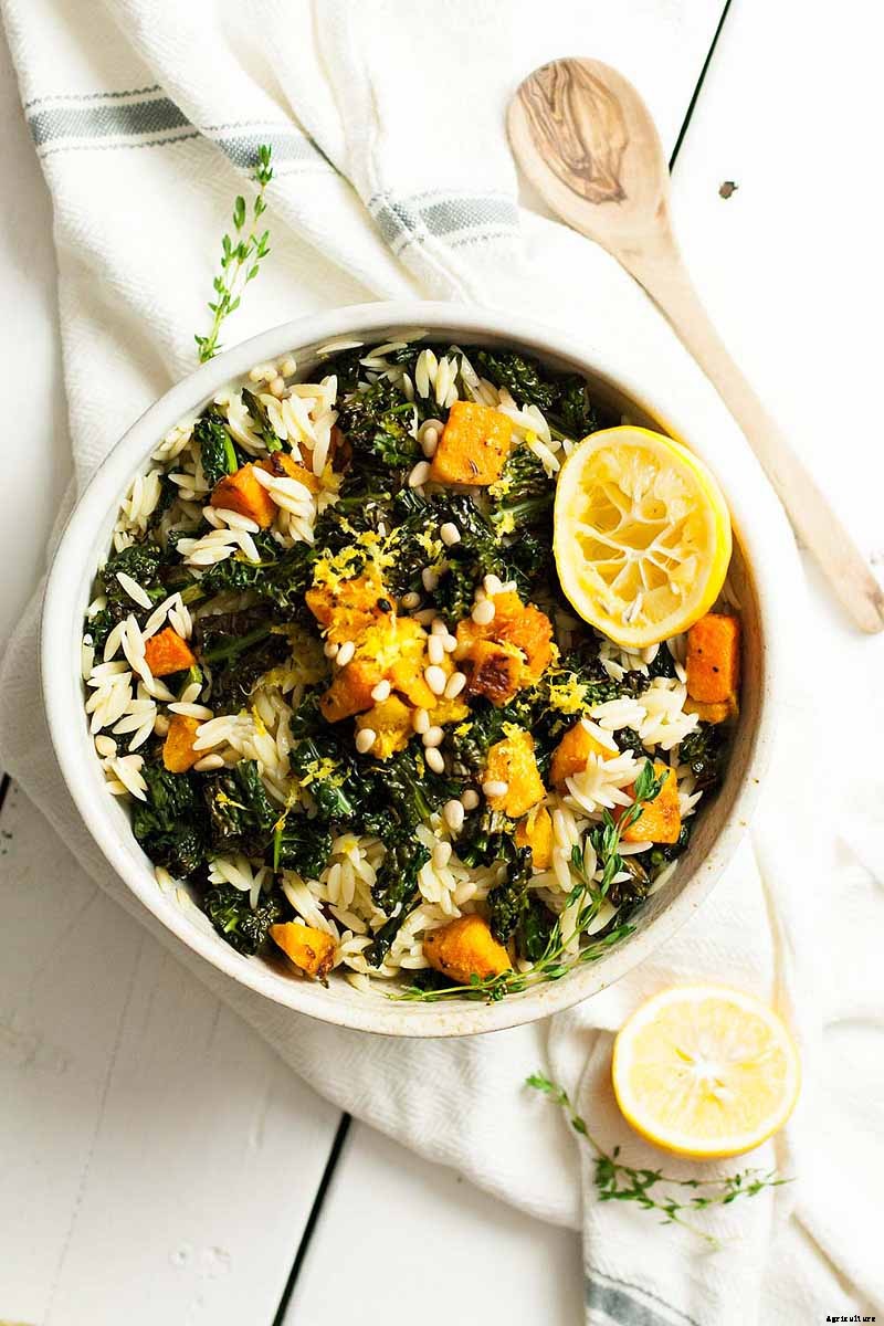 How to Grow Lacinato (Dinosaur) Kale