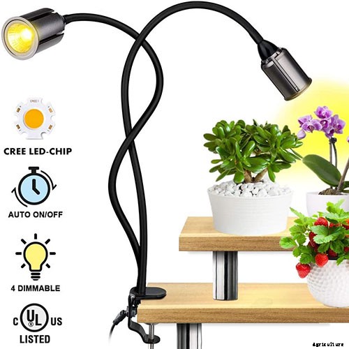 Keeping Basil When It Gets Chilly: Fall and Winter Growing Tips