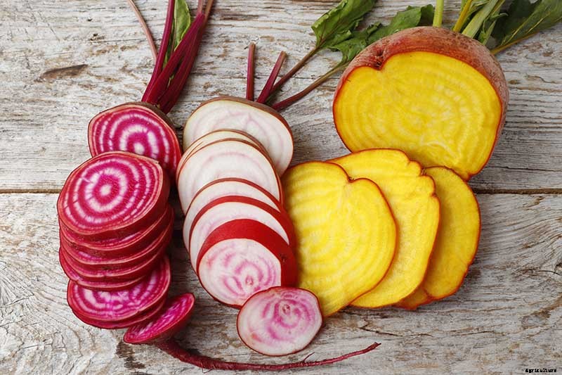 Health Benefits of Beets