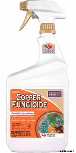 What Causes Turnips to Crack or Rot?