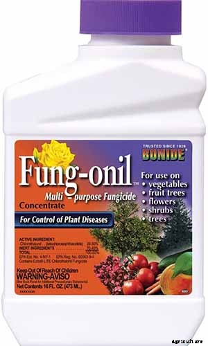 What Causes Turnips to Crack or Rot?