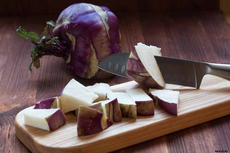 Health Benefits of Kohlrabi