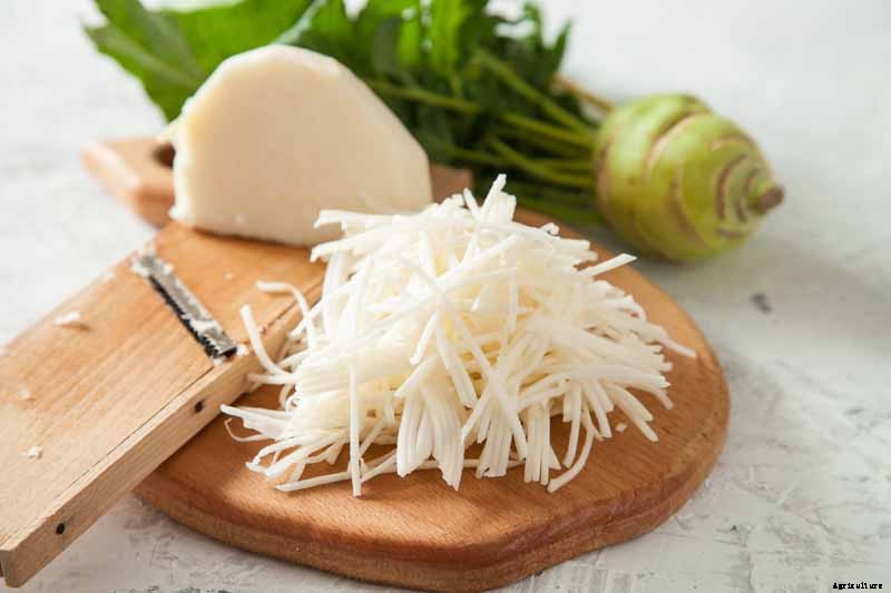 Health Benefits of Kohlrabi