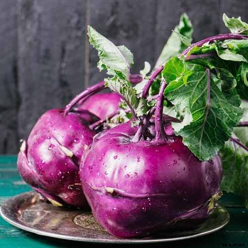 Health Benefits of Kohlrabi