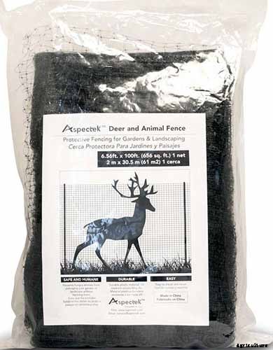 How to Prepare Boysenberry Bushes for Winter