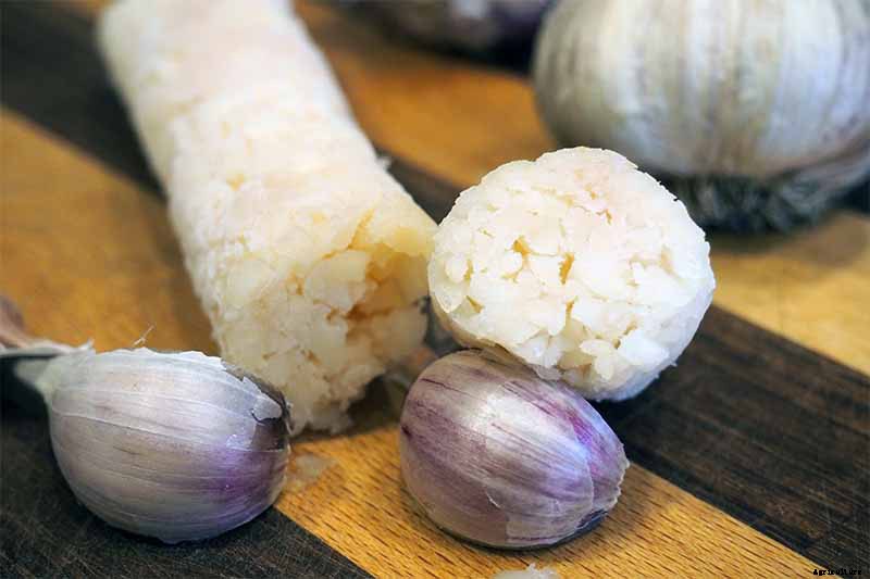 How to Cure and Store Garlic from the Garden
