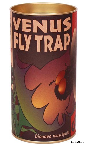 Creepy Plants for the Garden: Scary-Looking Plants for Halloween and Beyond