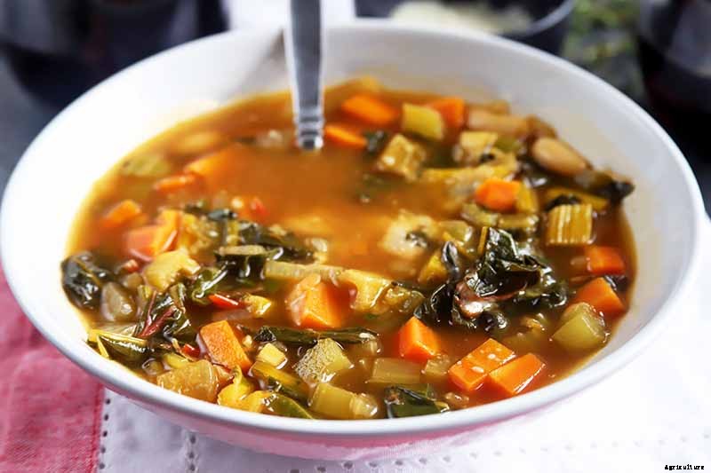 When and How to Harvest Celery