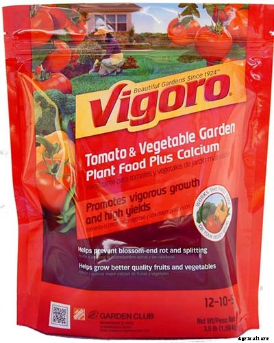 5 Reasons Why Your Celery Tastes Bitter (And What to Do About It)