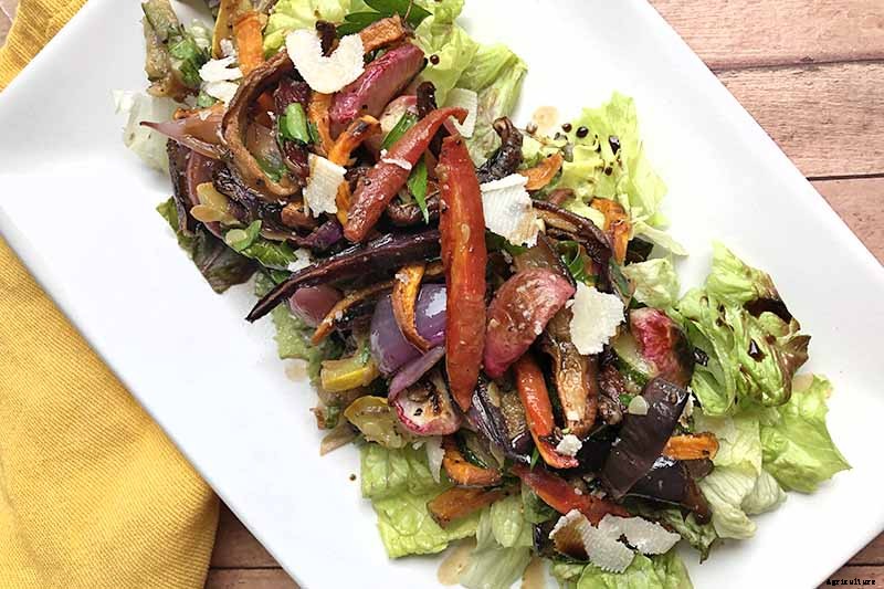 5 Reasons Why Your Celery Tastes Bitter (And What to Do About It)