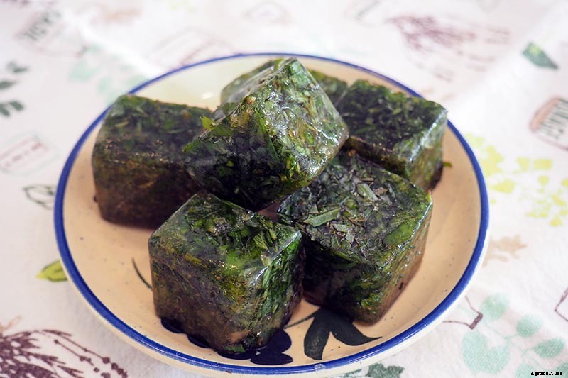 5 of the Best Ways to Freeze Fresh Herbs