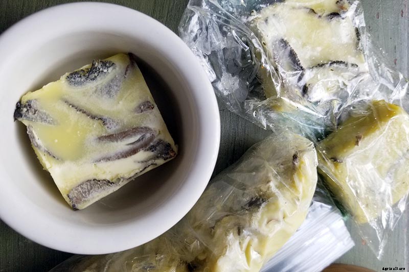 5 of the Best Ways to Freeze Fresh Herbs