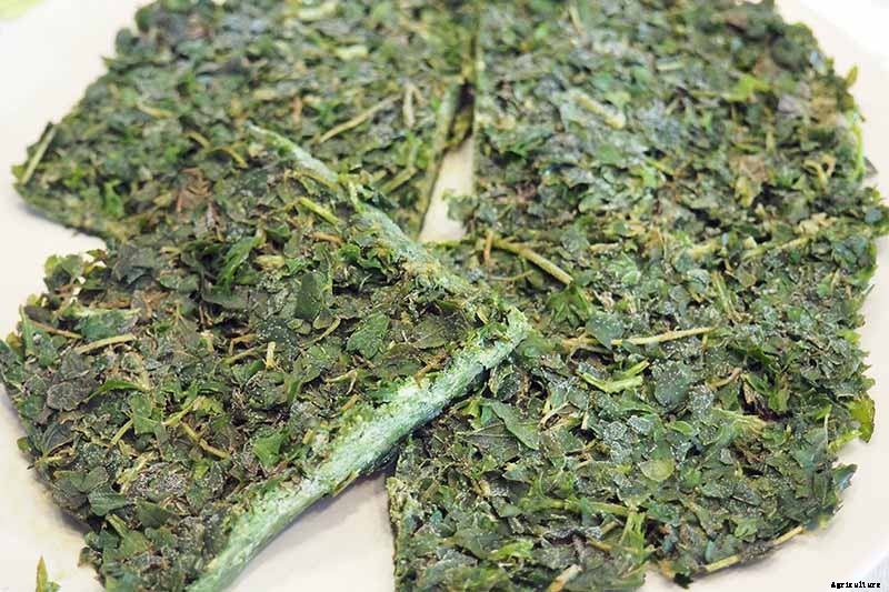 5 of the Best Ways to Freeze Fresh Herbs
