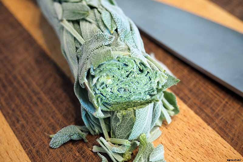 5 of the Best Ways to Freeze Fresh Herbs