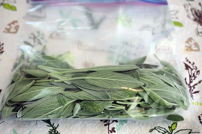 5 of the Best Ways to Freeze Fresh Herbs