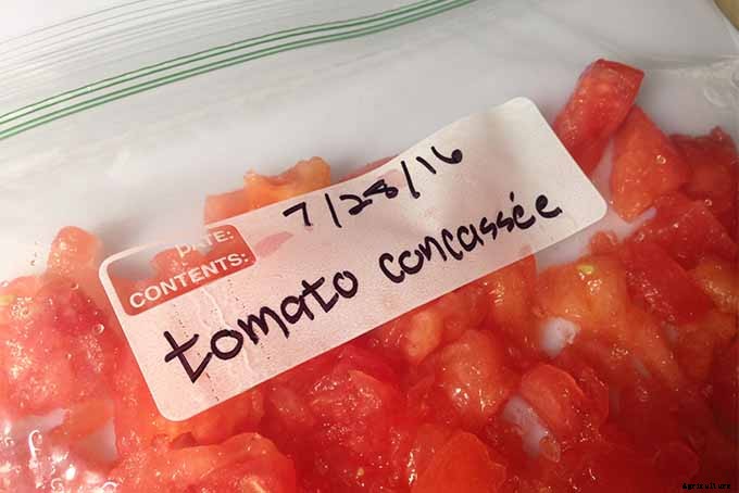 Can You Freeze Fresh Tomatoes? Tips for Freezing Your Homegrown Crop