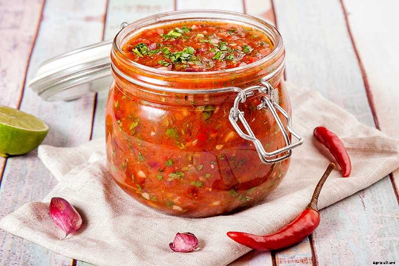 Can You Freeze Fresh Tomatoes? Tips for Freezing Your Homegrown Crop